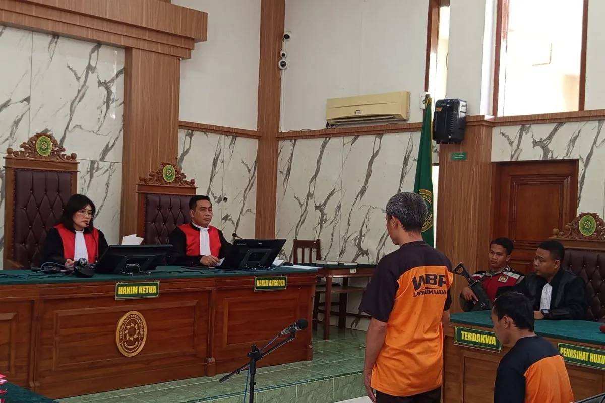 Tanam Ganja di Gunung Semeru, 3 Terdakwa Divonis 20 Tahun Penjara