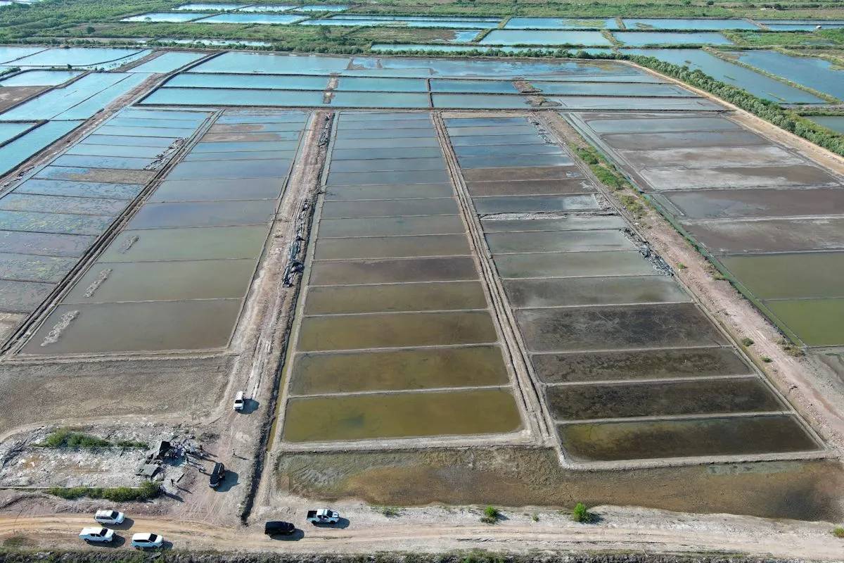 Pemerintah Longgarkan Impor Garam Hingga Industri Siap 2027