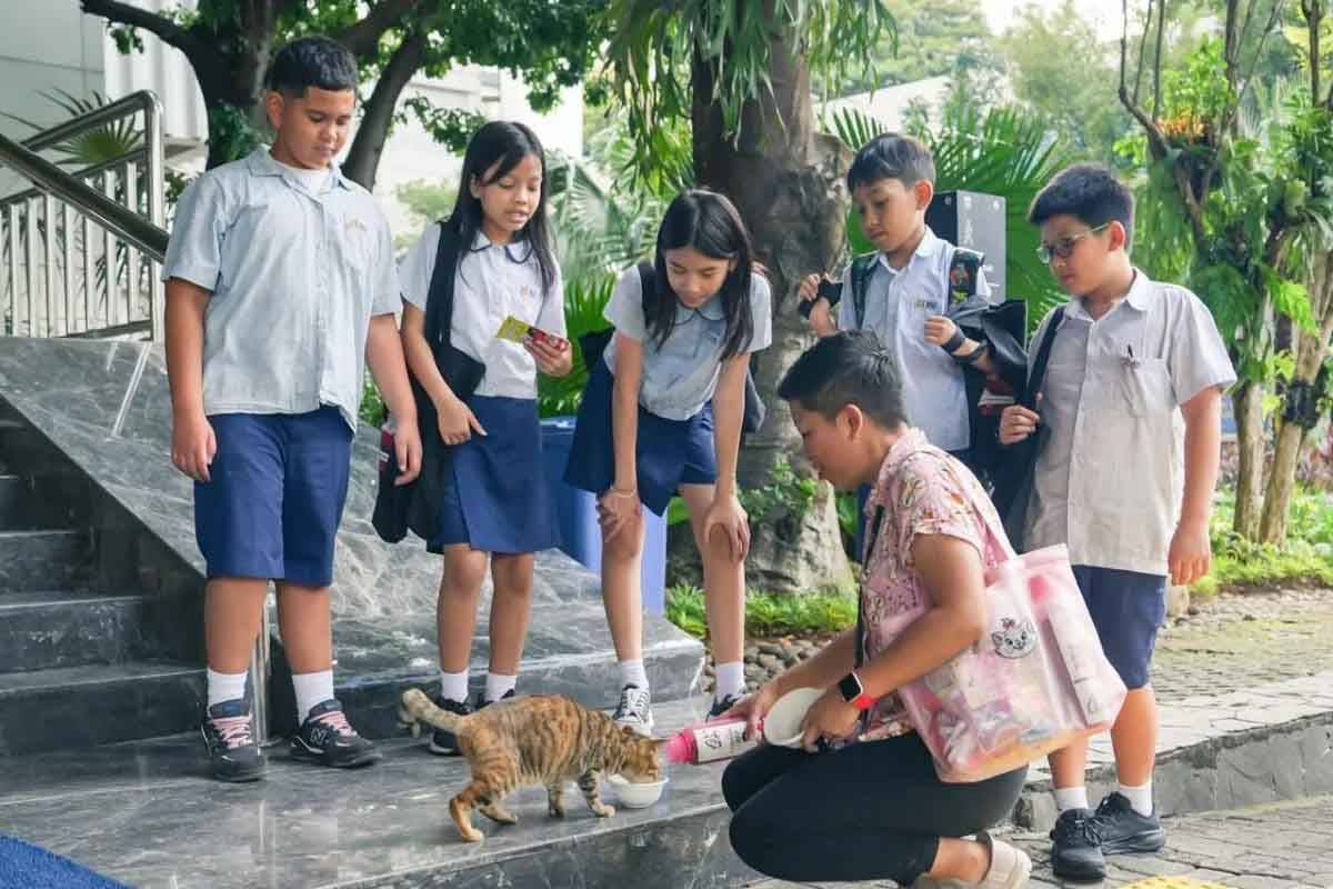 Hanya Bikin Beban, Pramono Anung Diminta Hentikan Wacana Pulau Kucing