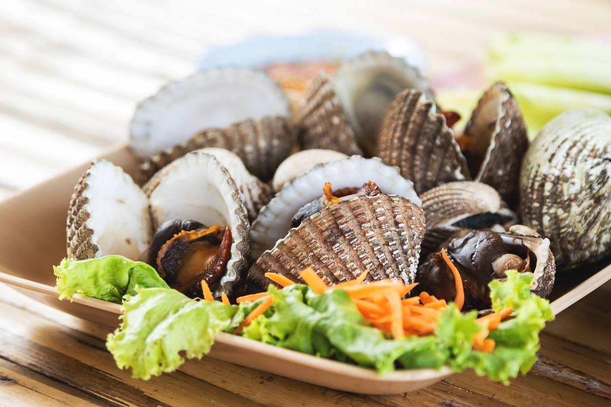 Kerang Ampuh Jaga Berat Badan Ideal dan Perkuat Imunitas, Cocok untuk Menu Diet