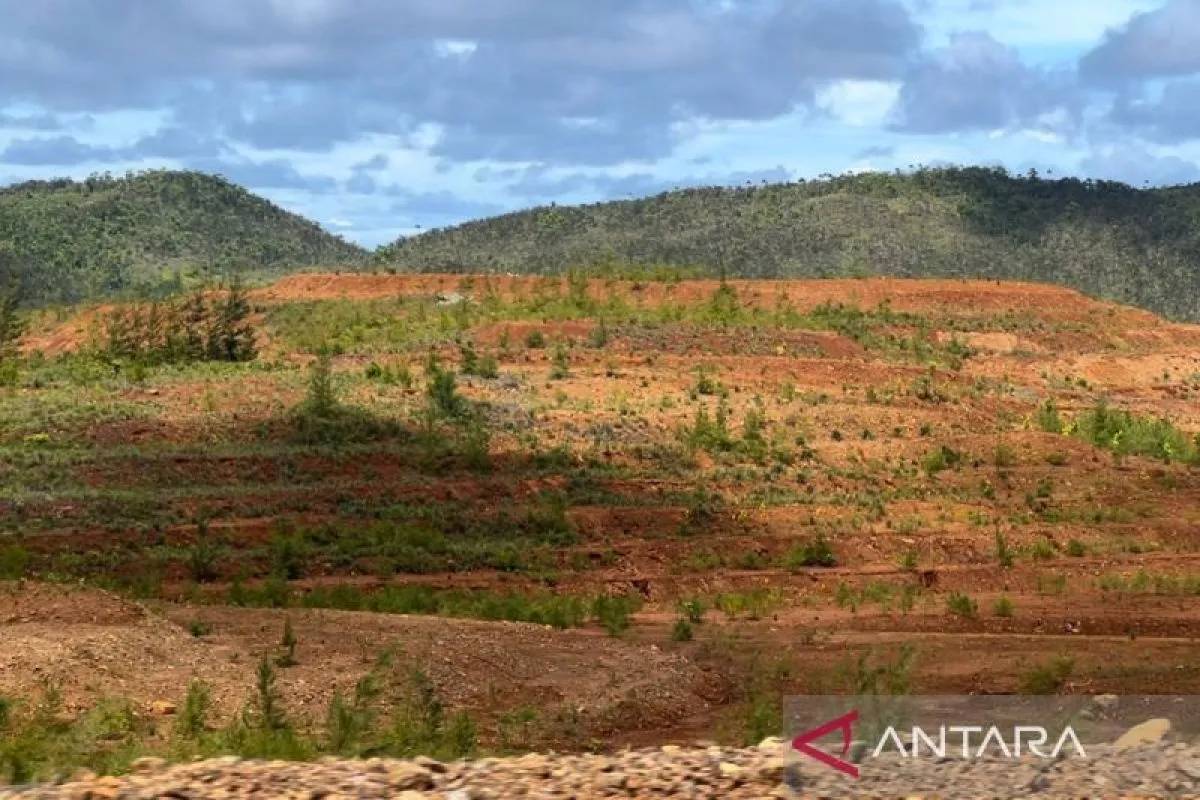 Pemerintah Diminta Tindak Tegas Tambang Nikel Nakal di Raja Ampat