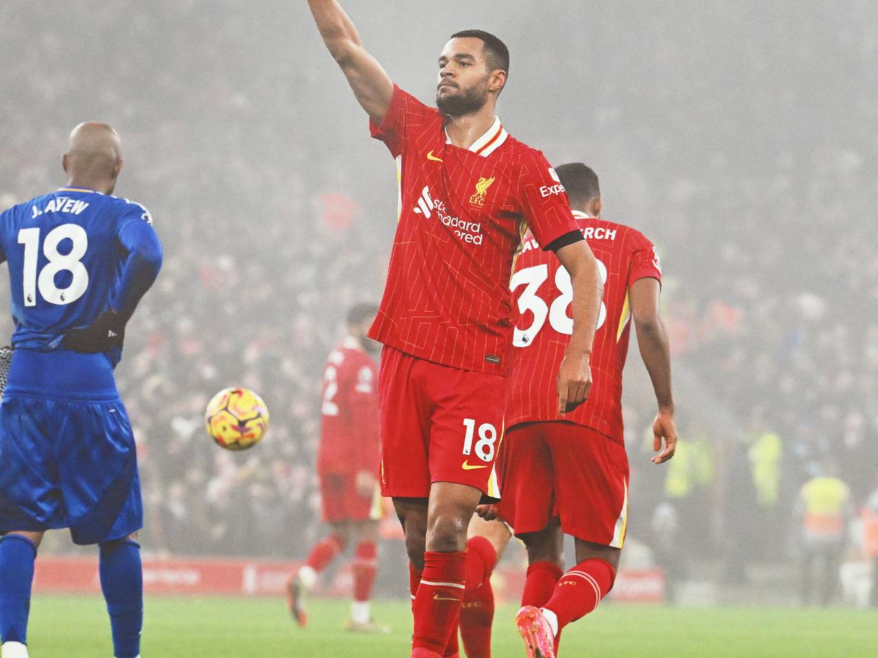 Disebut Hengkang ke Bayern Munchen, Cody Gakpo: Saya Fokus di Liverpool