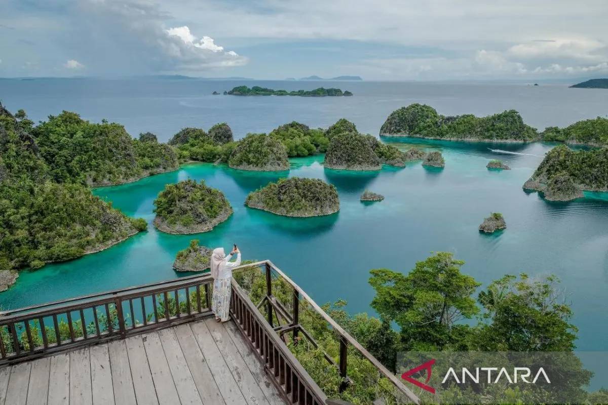 Ternyata Raja Ampat Punya 75 Persen Spesies Karang Dunia, Terancam Tambang Nikel