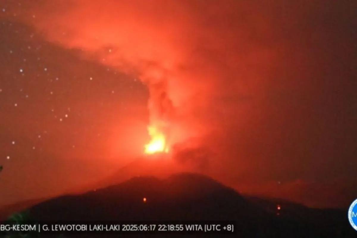 Gunung Lewotobi Laki-laki Erupsi, Terjadi Hujan Abu dan Kerikil, Warga Mengungsi