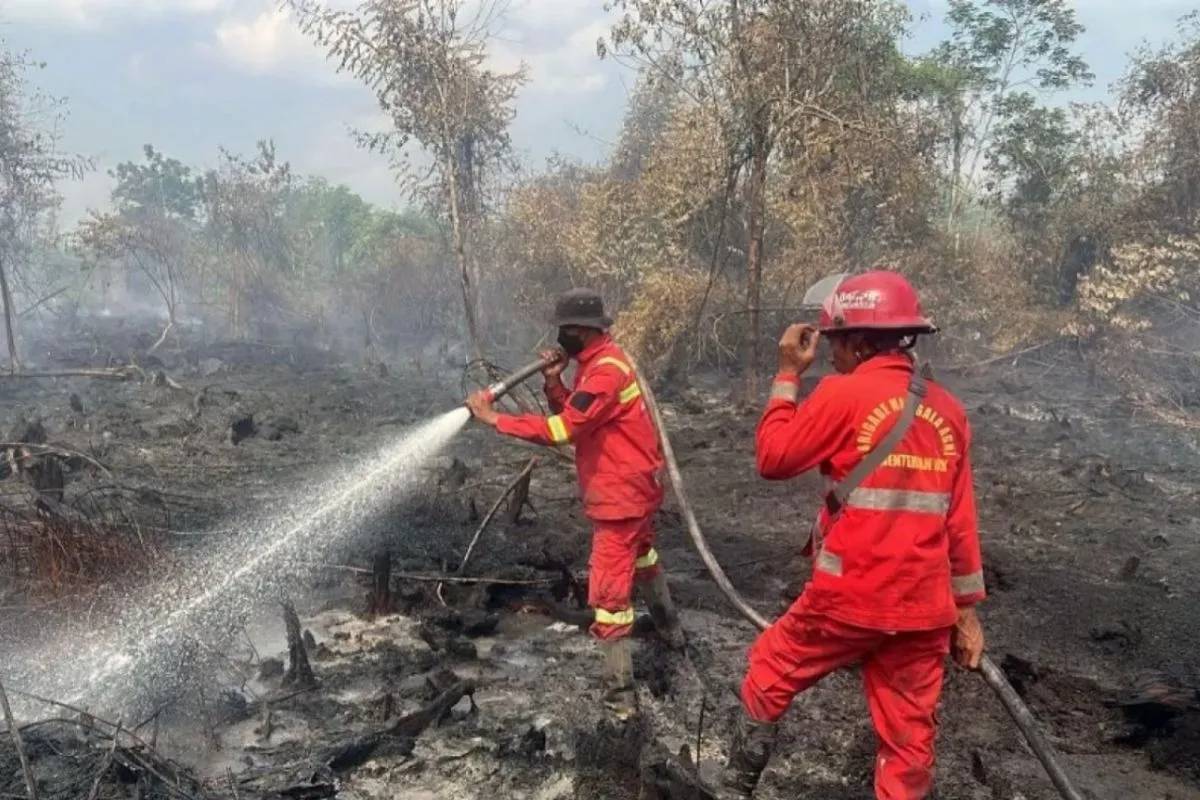 30 Hektare Lahan di Riau Diduga Sengaja Dibakar, Polisi Turun Tangan
