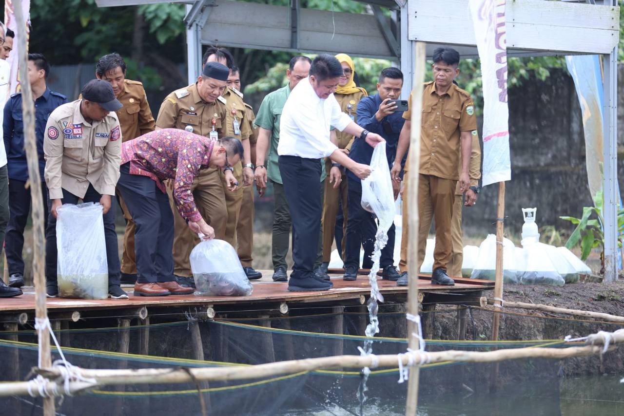 Sumsel Pelopor Inovasi Ketahanan Pangan, GSMP Terus Berkembang dan Ditiru Daerah Lain