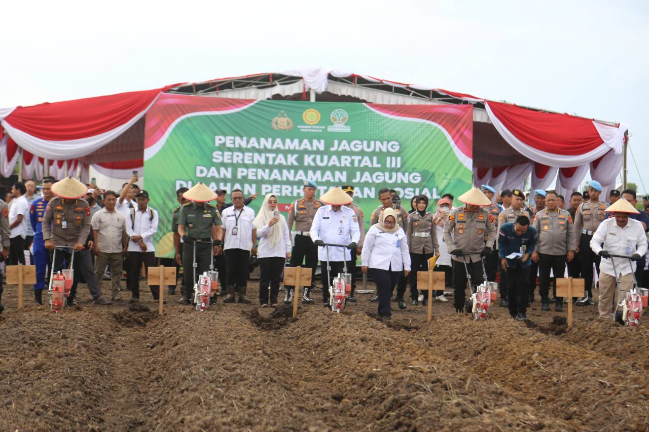Polda Sumsel Inisiasi Tanam Jagung di Lahan Rawan Karhutla, Sekda: Wujud Nyata Sinergi Ketahanan Pangan