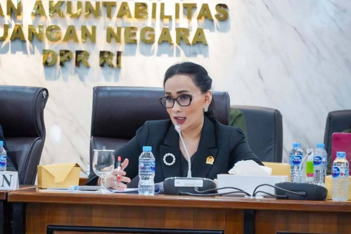 DPR RI Sebut Permintaan eks Marinir Harus Dijawab Secara Hukum