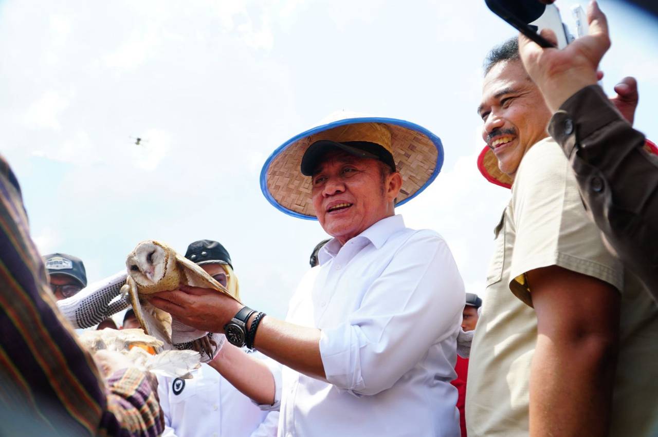 Menuju Swasembada, Gubernur Herman Deru Tegaskan Kedisiplinan Kunci Sukses Petani Sumsel