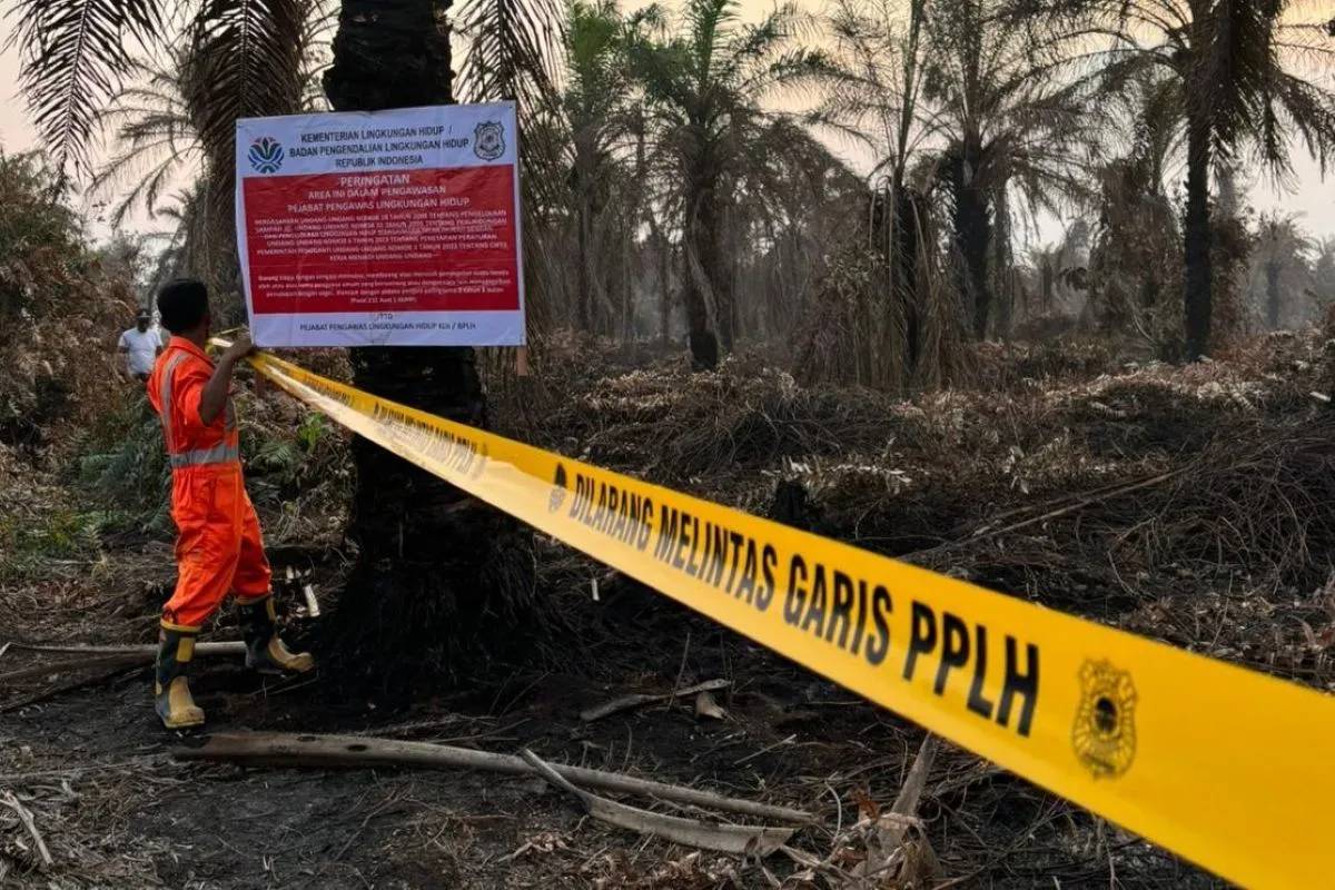 Karhutla Riau, 4 Perusahaan dan 1 Pabrik Sawit Disegel dan Dilarang Beroperasi