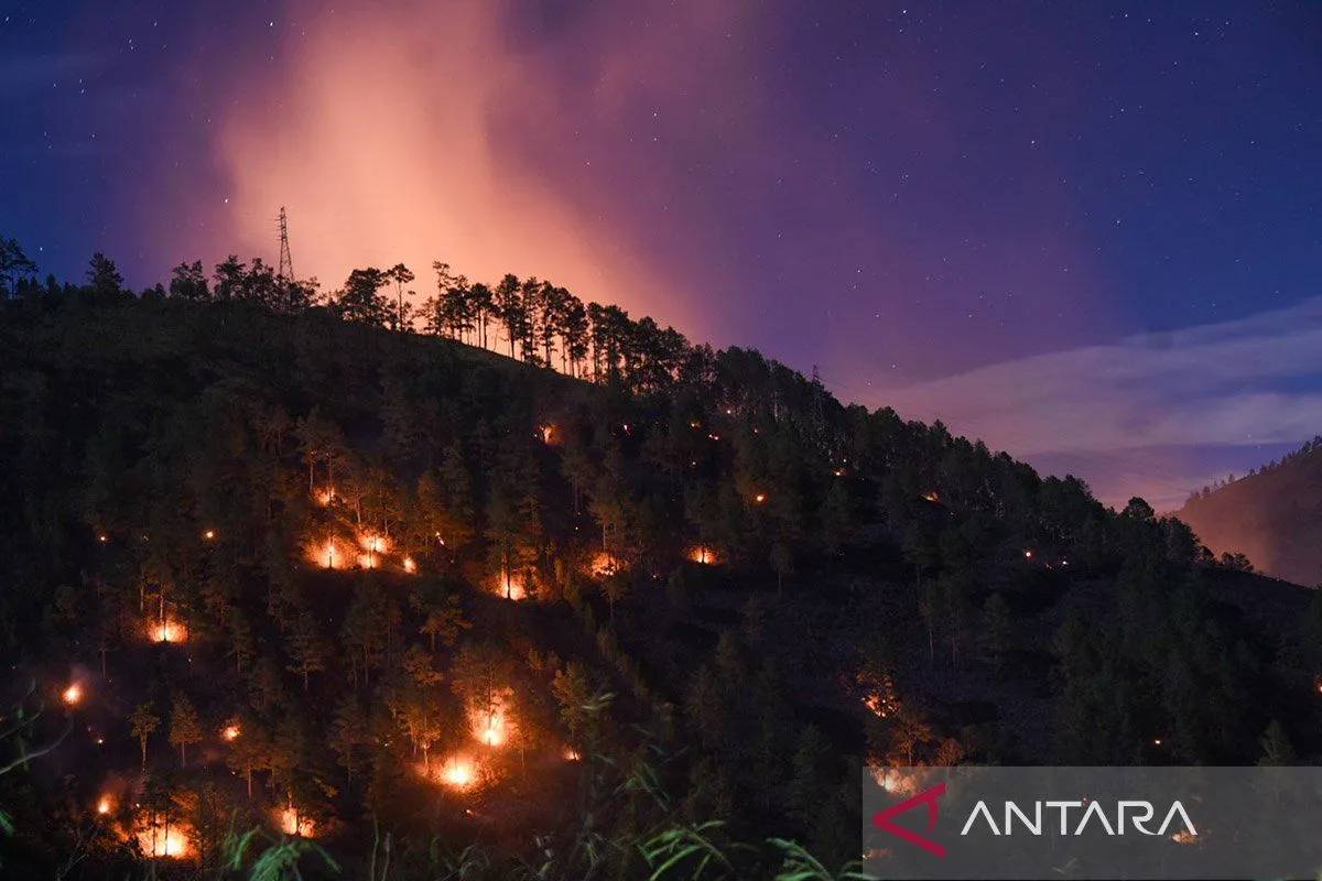 6 Kabupaten di Sumut Siaga Darurat Karhutla, Bobby: Kami Siapkan Air Bersih