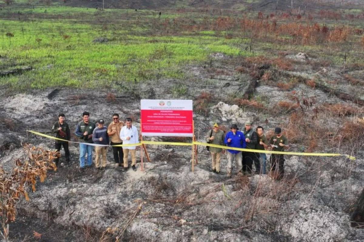 Kebakaran Hutan 400 Ha, 2 Perusahaan Konsesi di Kalbar Disegel dan Terancam Pidana
