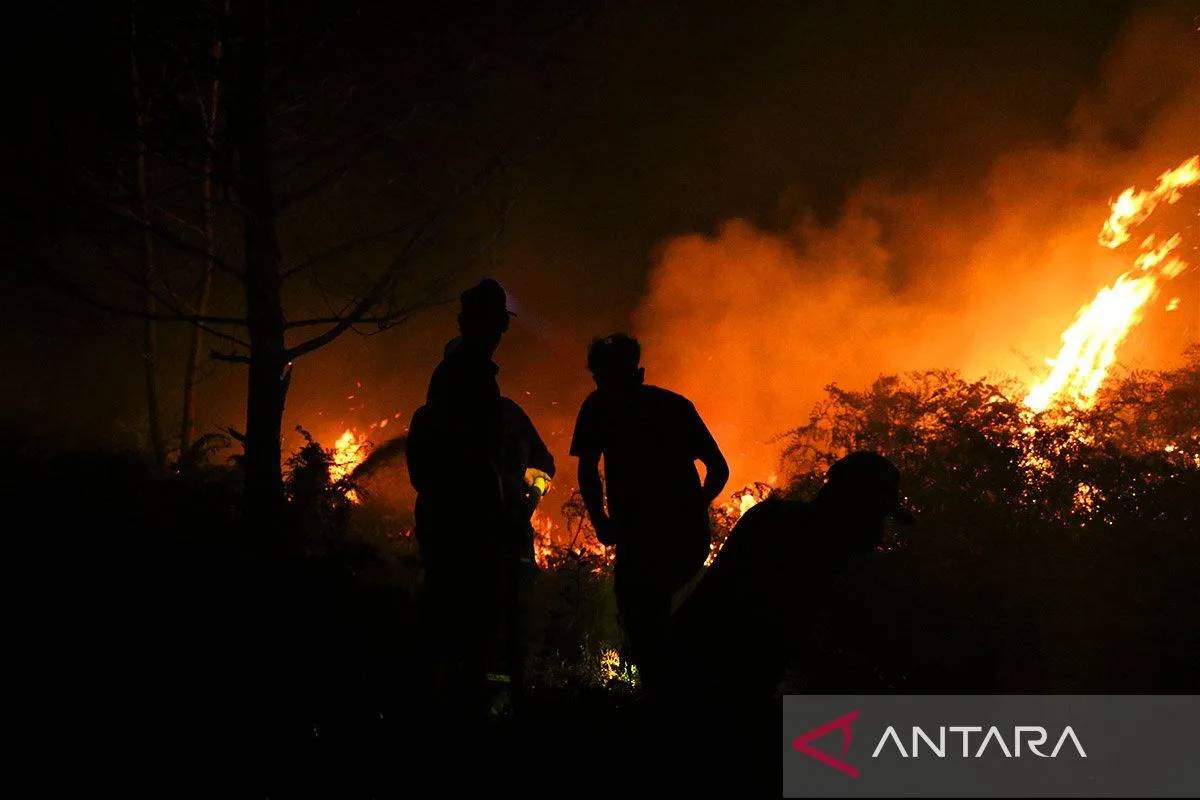 Kebakaran Lahan di Singkawang Capai 100 Hektare, Pemkot Doa Minta Hujan