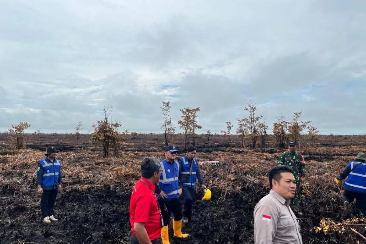 2 Lahan Terbakar Seluas 200 Ha di Kalbar Disegel, KLH Tegas Tindak Pelanggar