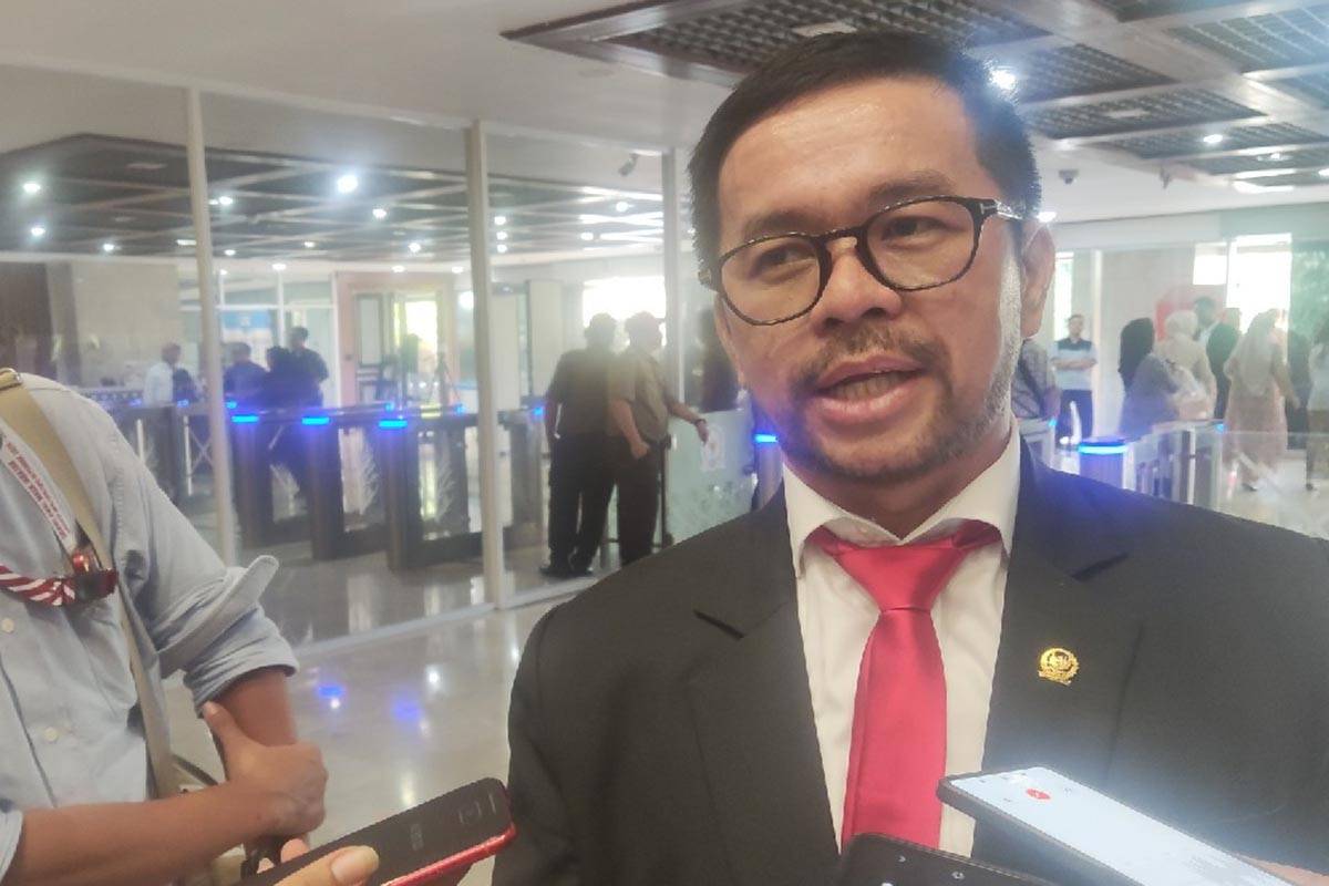 Politikus PDIP Minta Pemerintah Fokus Ekonomi Daripada Urusi Bendera One Piece