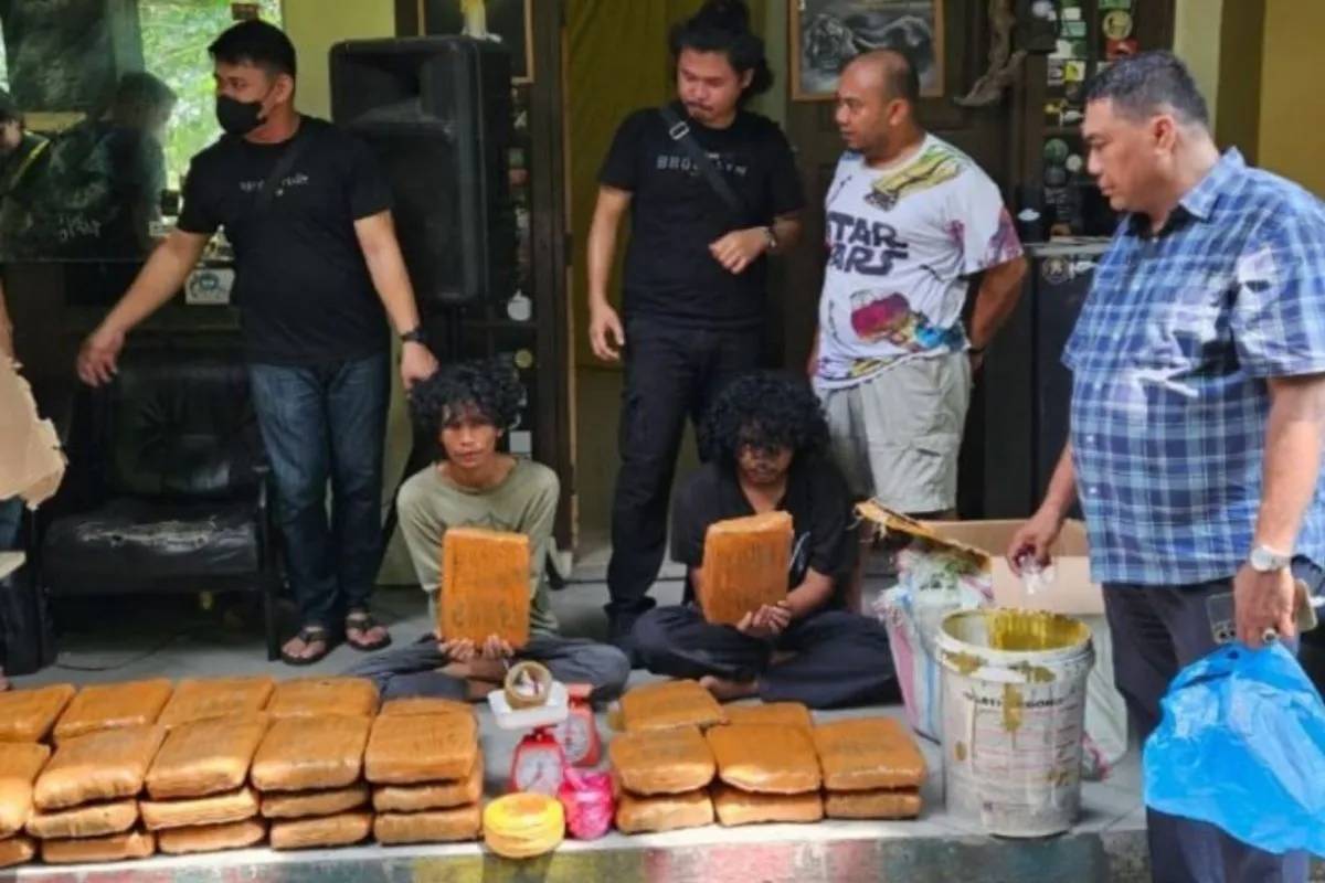63 Kg Ganja Disita di Kampus UIN Suska Pekanbaru, Eks Mahasiswa jadi Tersangka