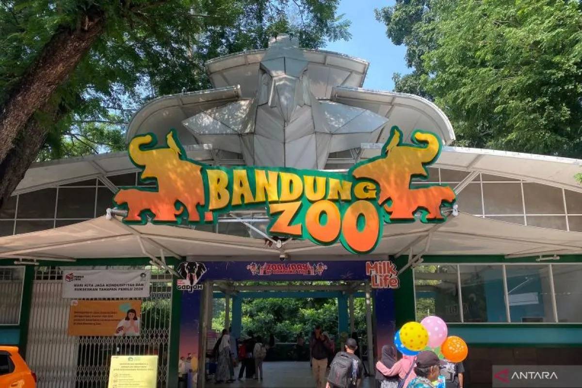 PKBSI Siap Bantu Kelola Bandung Zoo Asal Tak Ditutup demi Satwa dan Karyawan
