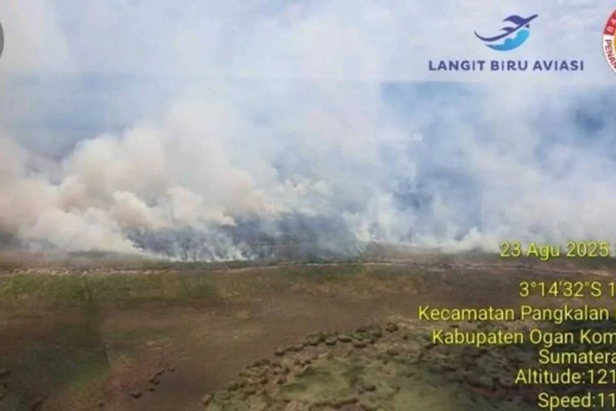 BPBD Sumsel Lakukan 95 Water Bombing Padamkan Karhutla di OKI