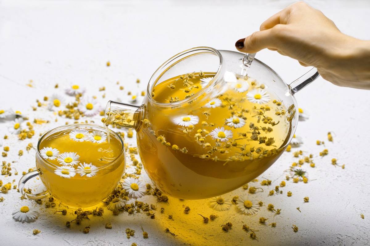 4 Manfaat Minum Teh Chamomile Setiap Hari, Tubuh dan Pikiran Lebih Seimbang