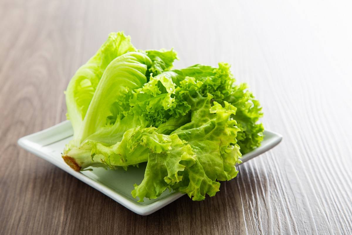 4 Jenis Selada Paling Sehat dan Kaya Nutrisi, Cocok untuk Diet