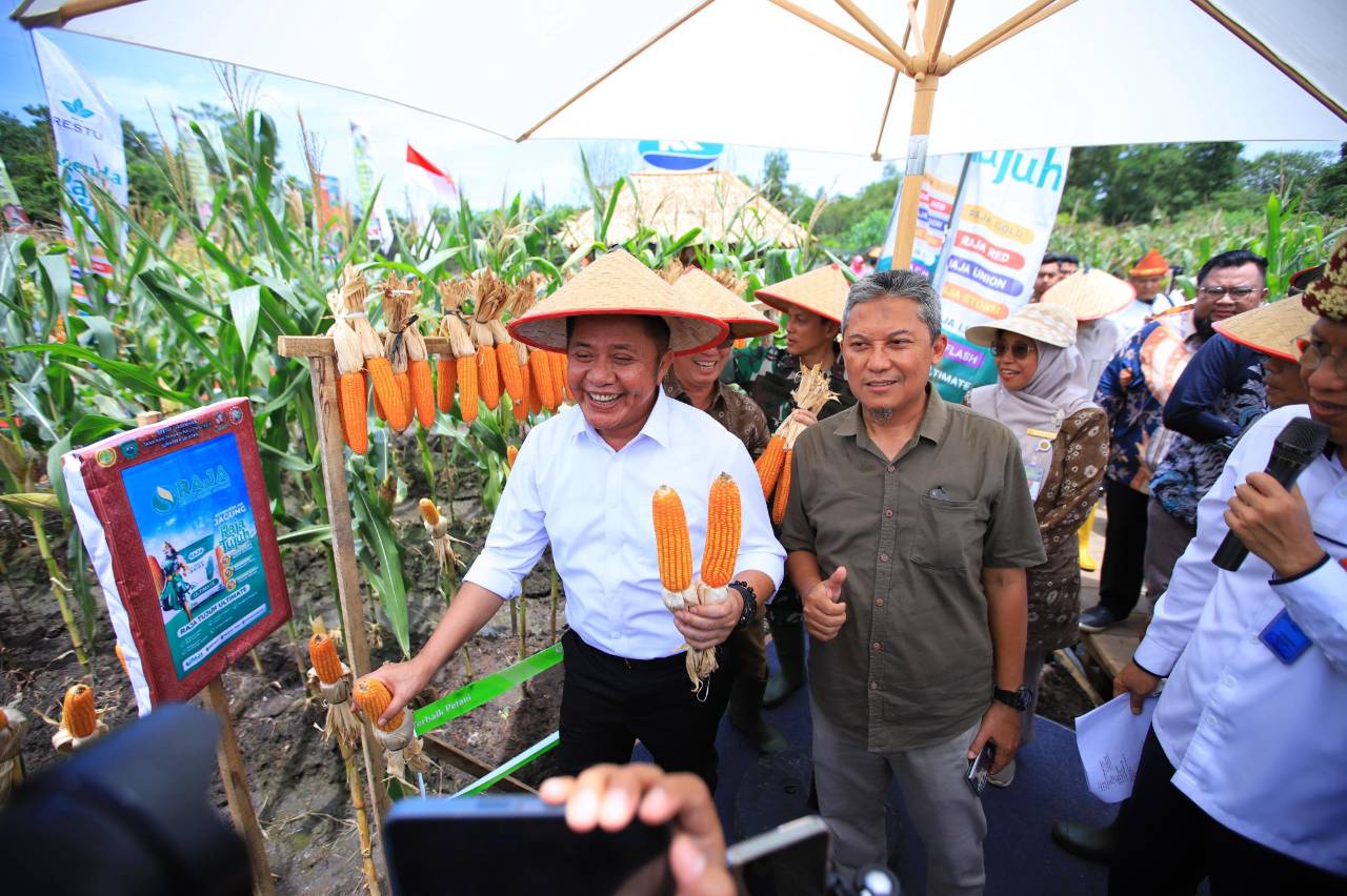 Gubernur Herman Deru Dorong Intensifikasi Pertanian: Sumsel Masuk Lima Besar Nasional