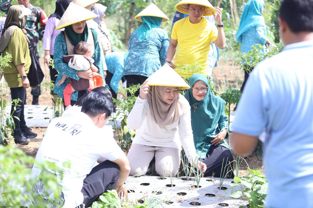 Keren Banget! TP PKK Sumsel Berdayakan Ibu-Ibu Talang Jambe Lewat Gerakan Mandiri Pangan