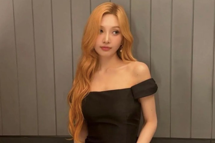 Comeback, Joy Red Velvet Bintangi Drama Korea One Of A Kind Romance