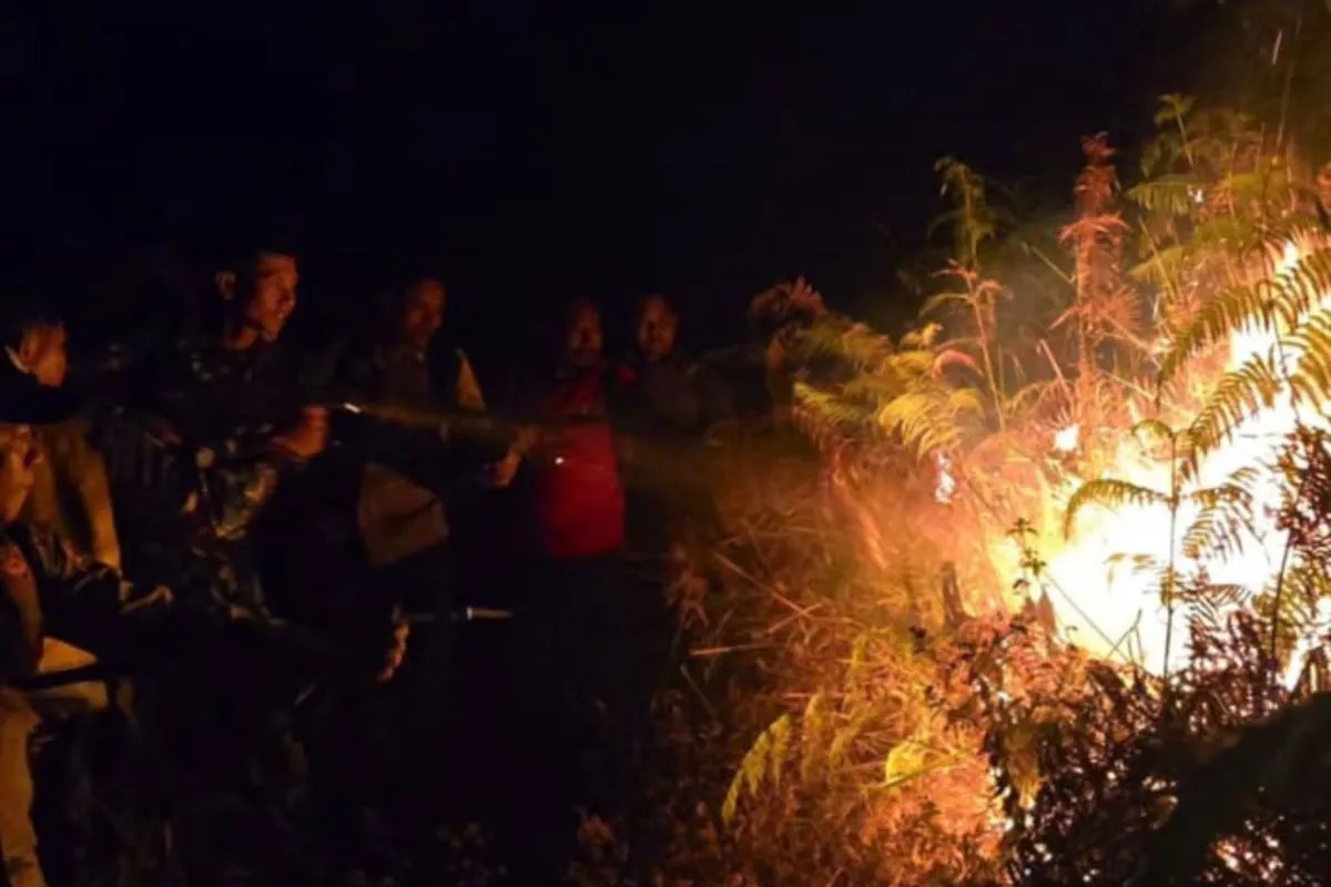 Kebakaran di Gunung Rinjani Hanguskan Semak Perdu dan Pohon Cemara Seluas 10 Ha