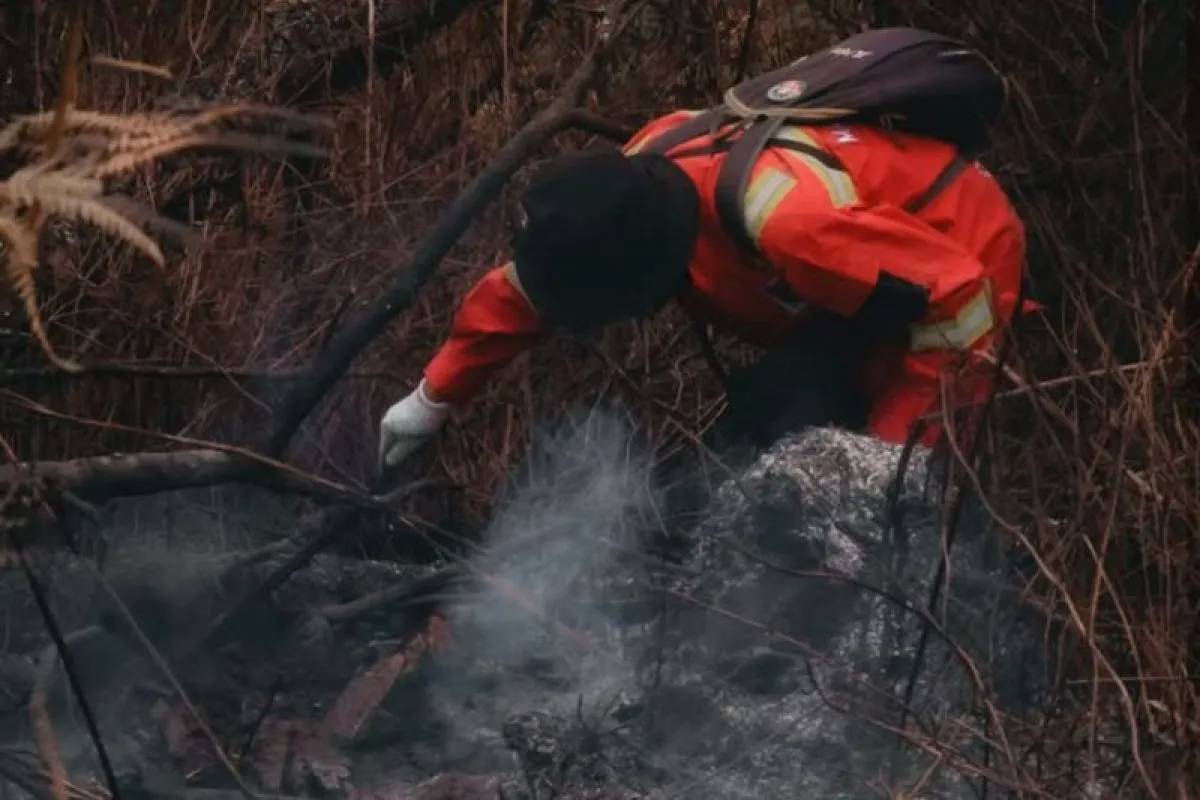 Karhutla Seluas 36 Hektare di Gunung Rinjani Berhasil Dipadamkan