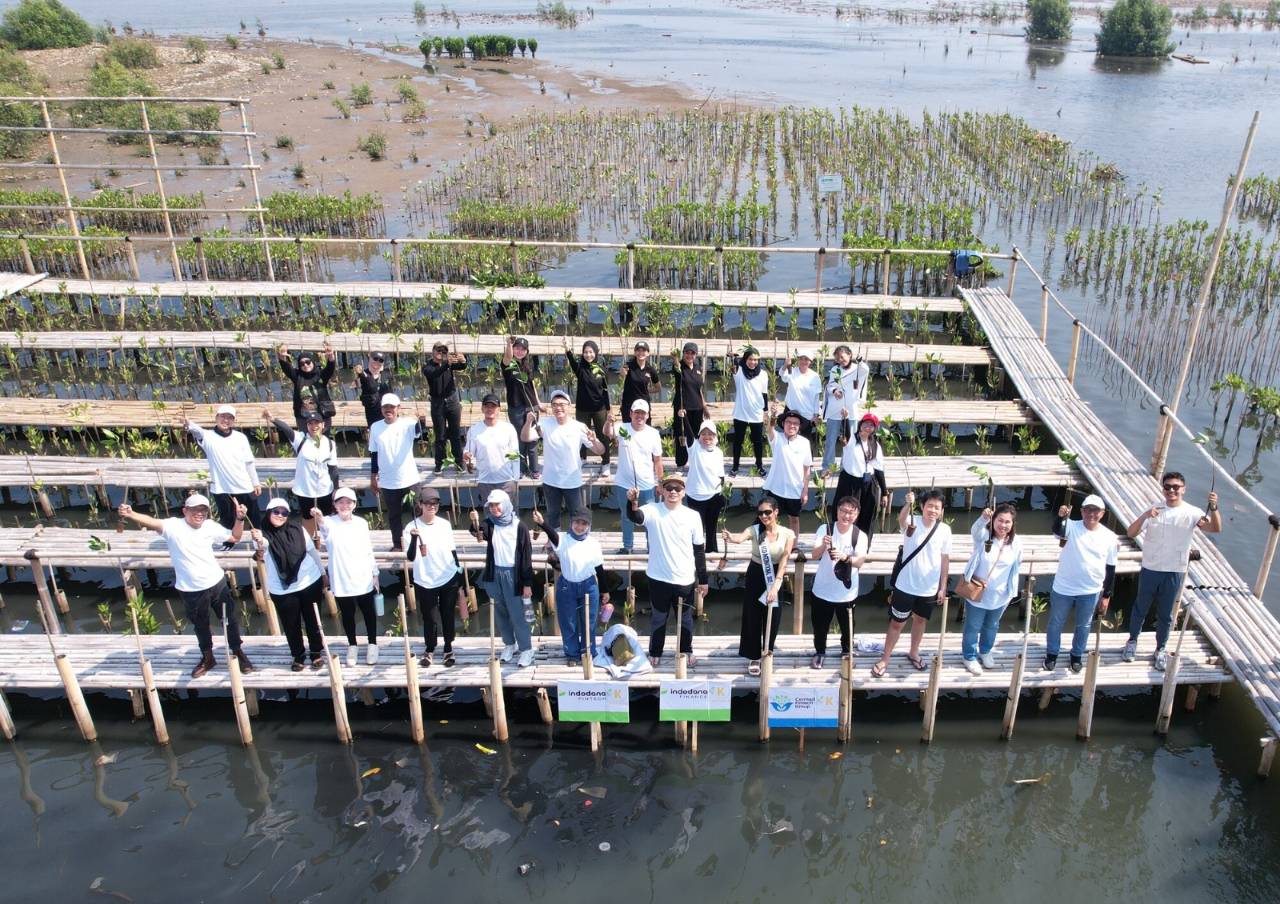 Hari Habitat Sedunia: Cermati Fintech Group Tanam Bibit Mangrove