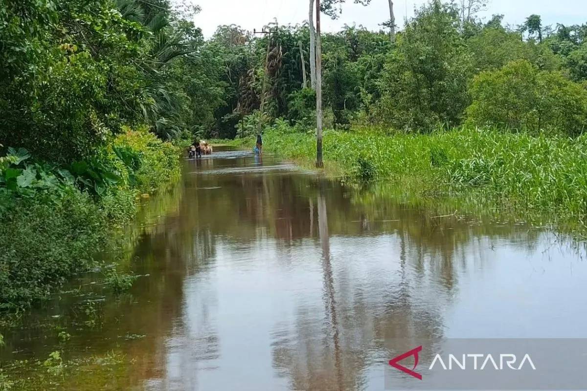 4 Kecamatan di Aceh Barat Terendam Banjir, 1.003 Warga Terdampak