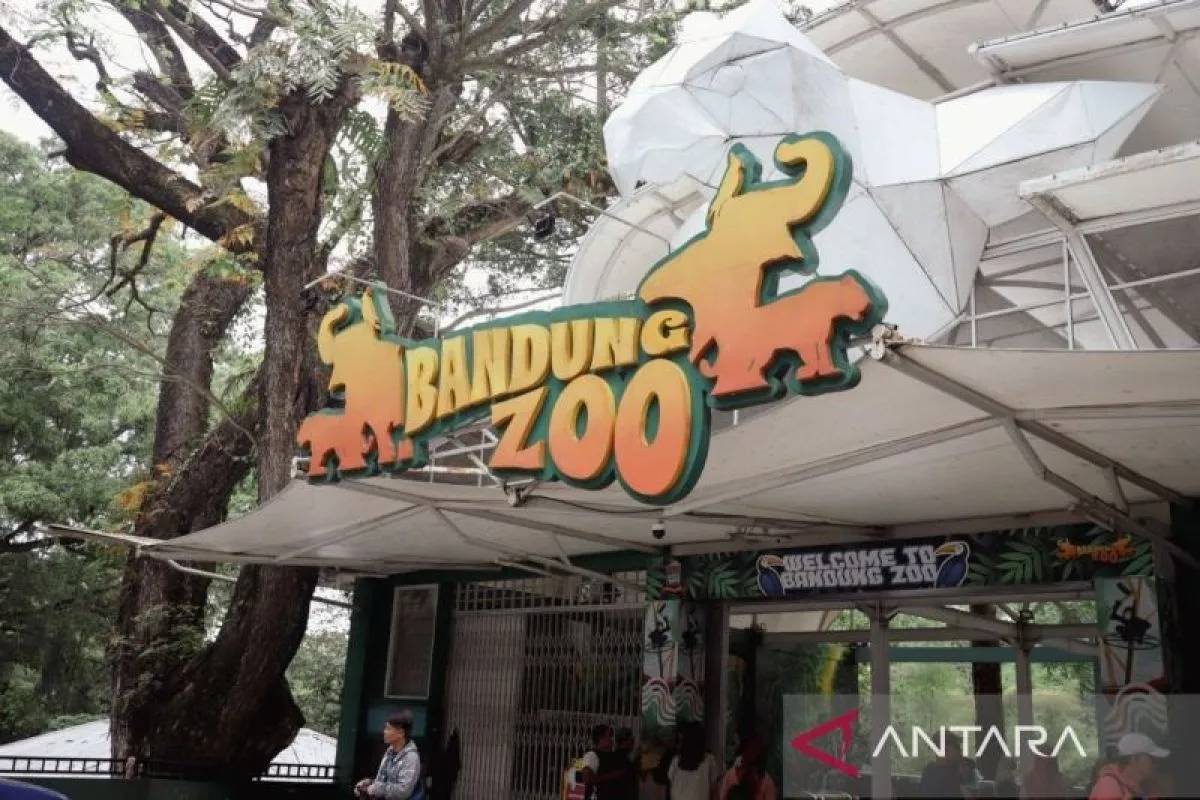 Izin Pengelola Belum Beres, Warga Dilarang Kunjungi Bandung Zoo