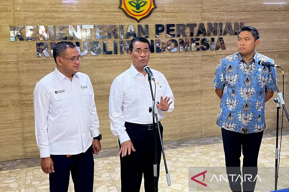 Pemerintah Bangun Peternakan Ayam Terintegrasi Rp20 T Dukung MBG dan Jaga Pasokan