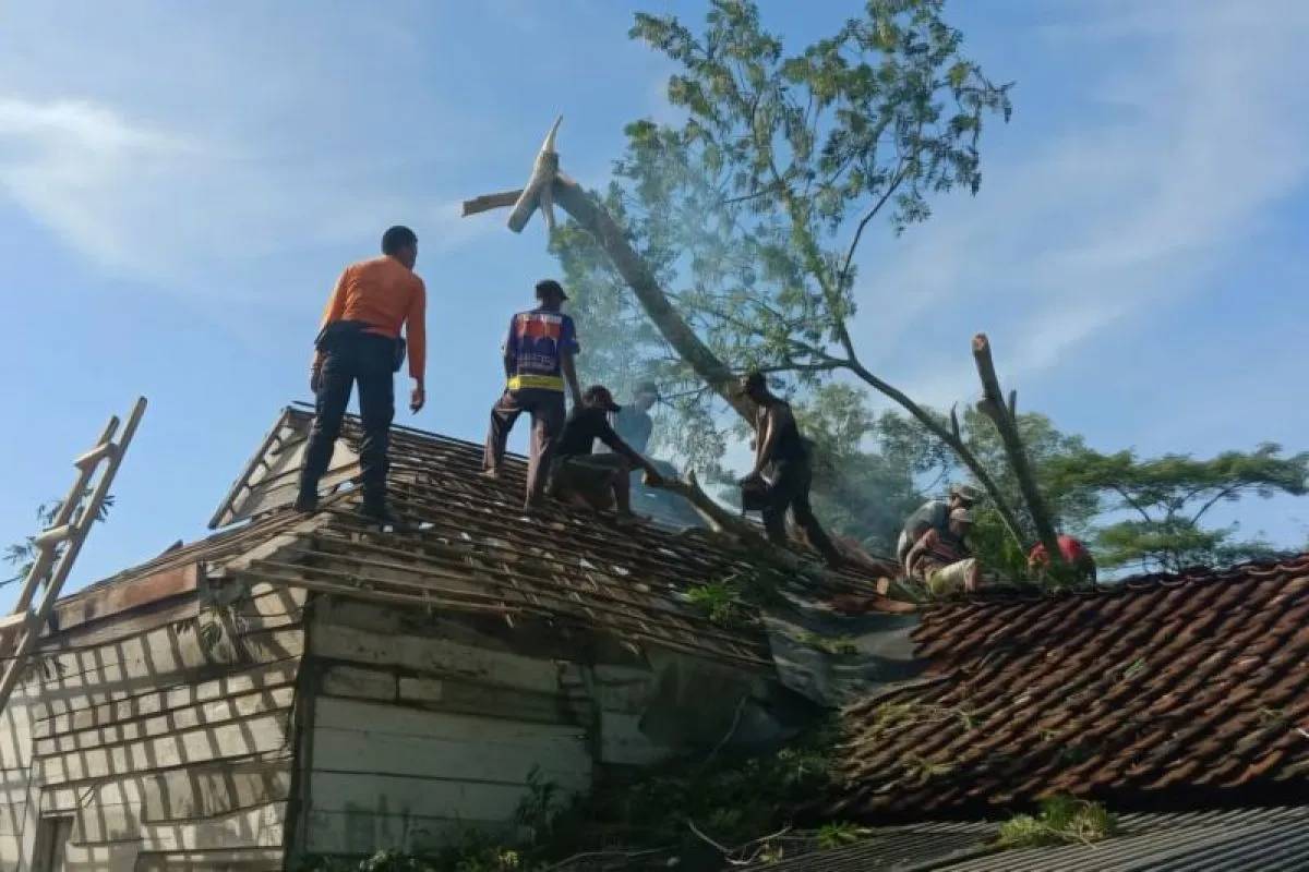Angin Kencang Terjang 6 Kabupaten di Lampung, 144 Rumah Rusak