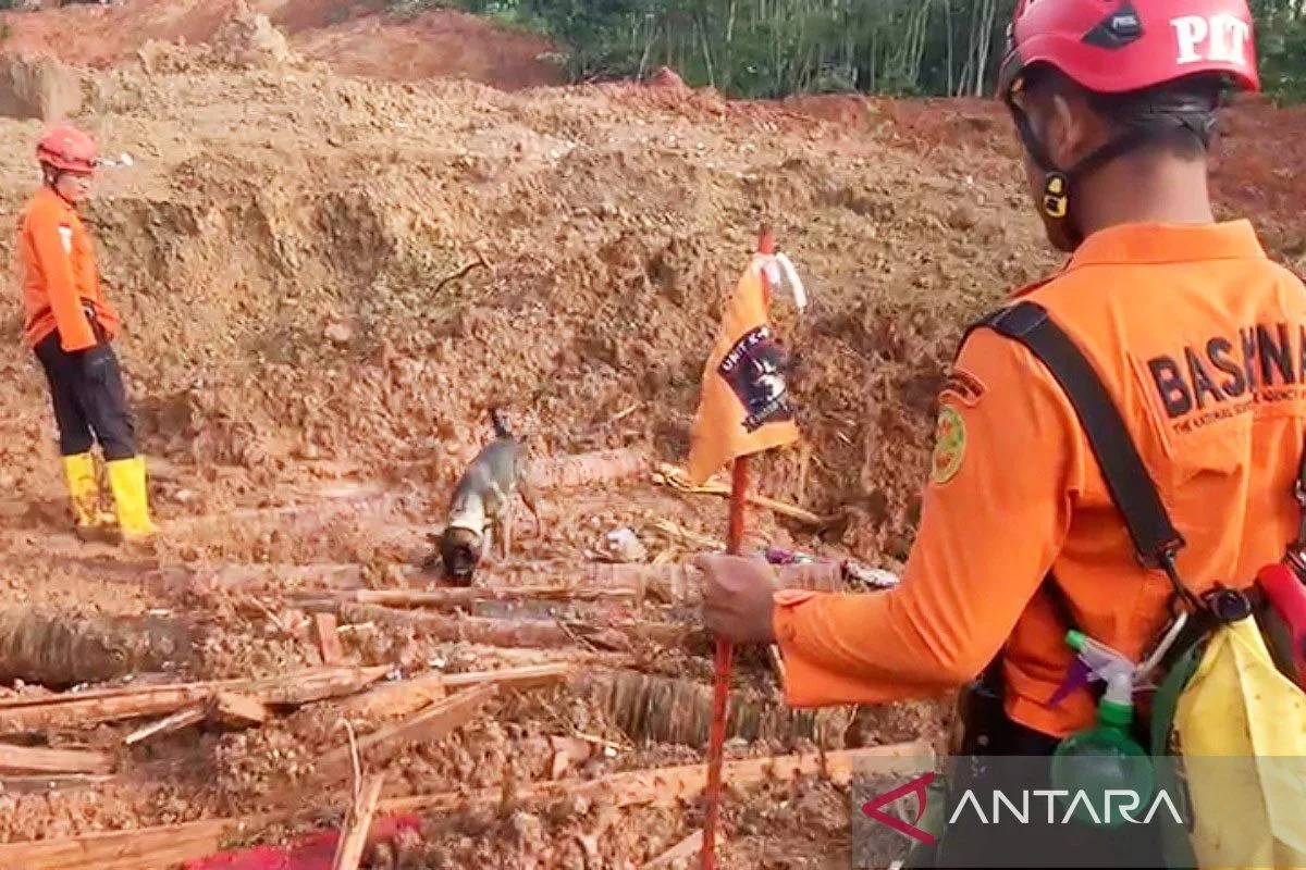 9 Anjing Pelacak dan 9 Alat Berat Dikerahkan Cari 20 Korban Longsor di Cilacap