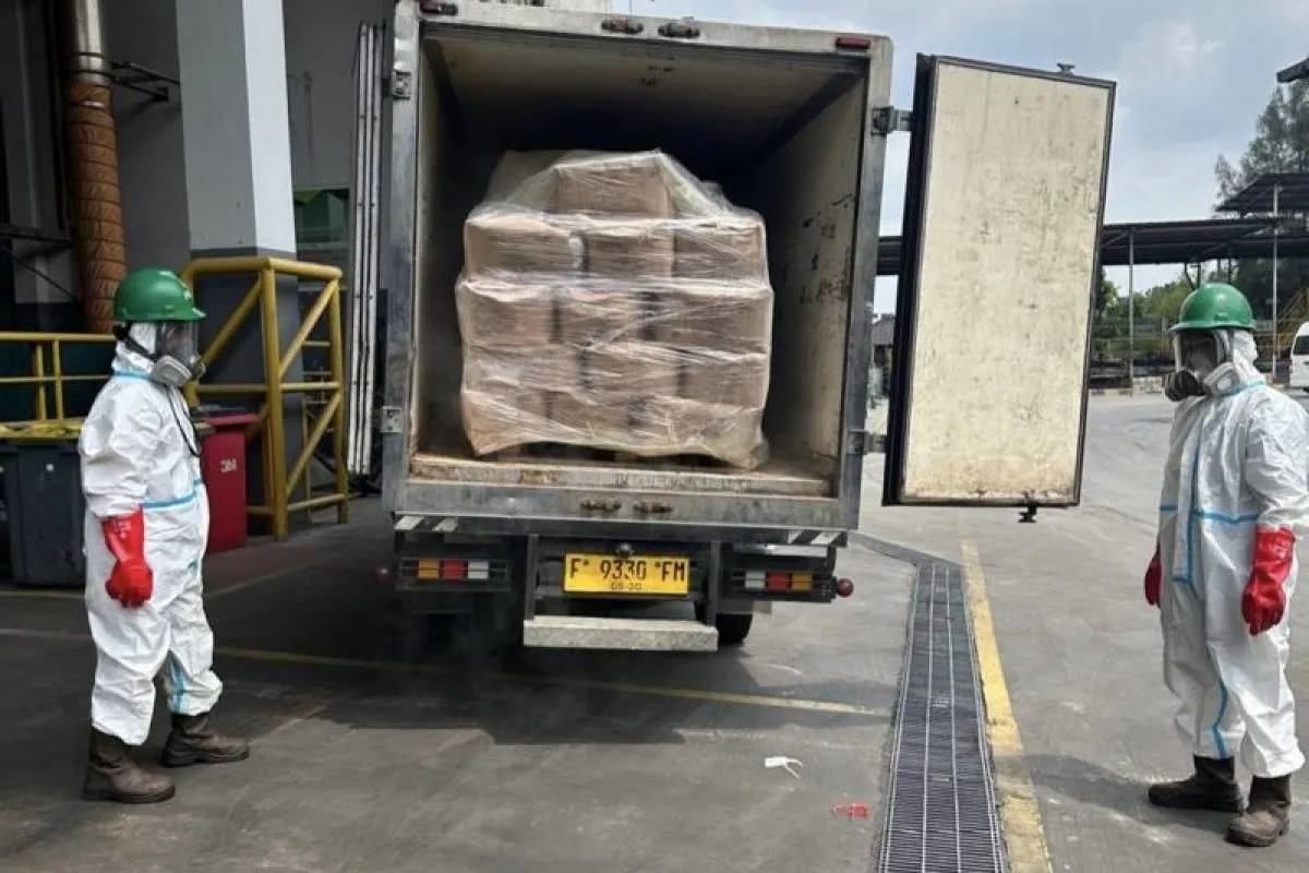 5,7 Ton Udang Dimusnahkan karena Tercemar Radioaktif Cesium-137