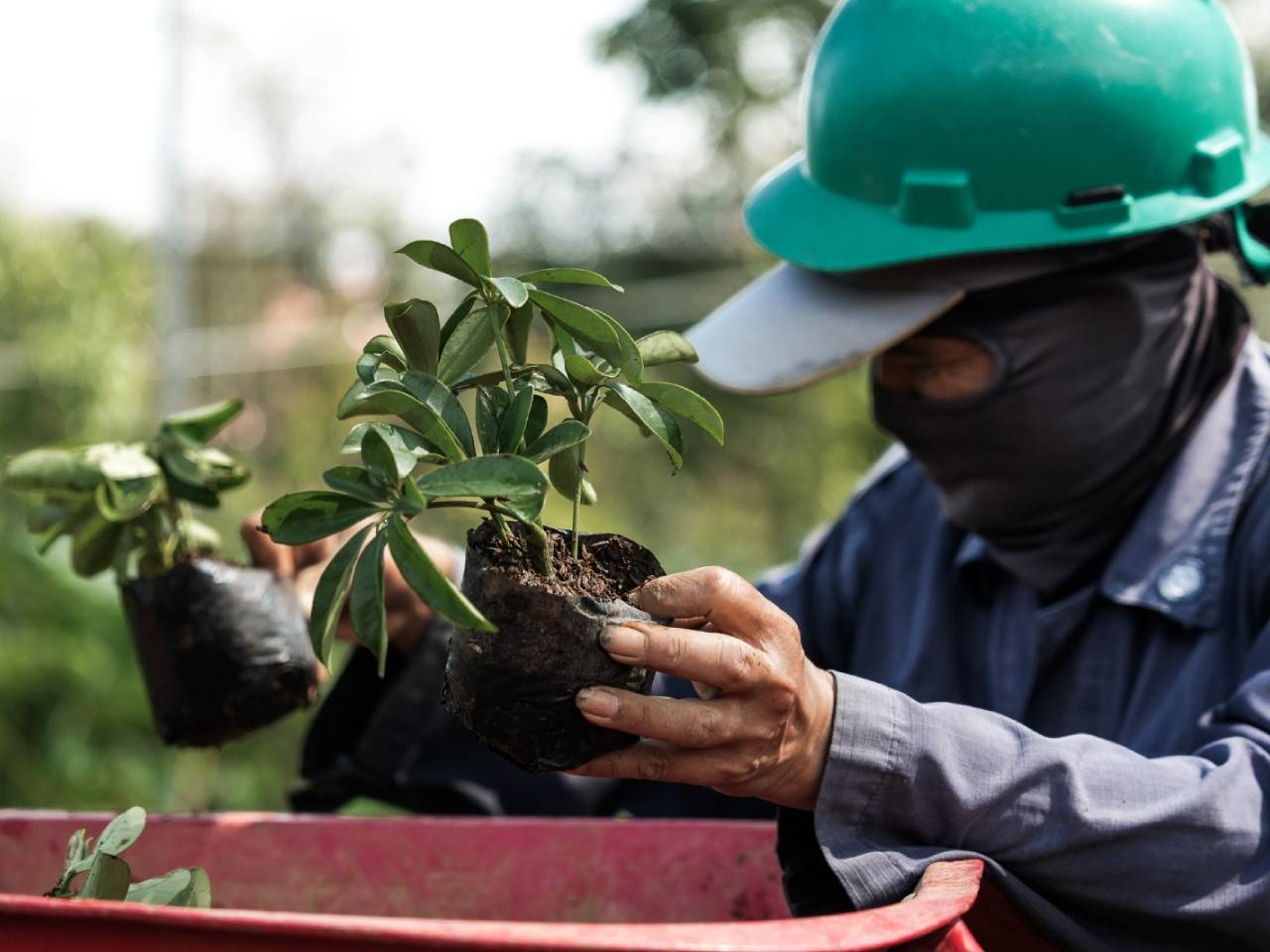 Eiger Adventure Land: Bukti Investasi Hijau Mengubah Konflik Agraria Jadi Ekowisata