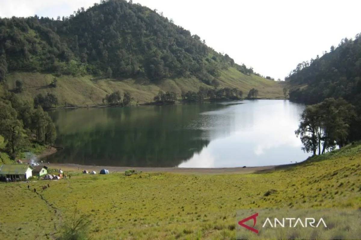 Imbas Erupsi Gunung Semeru, 178 Pendaki Bertahan di Ranu Kumbolo
