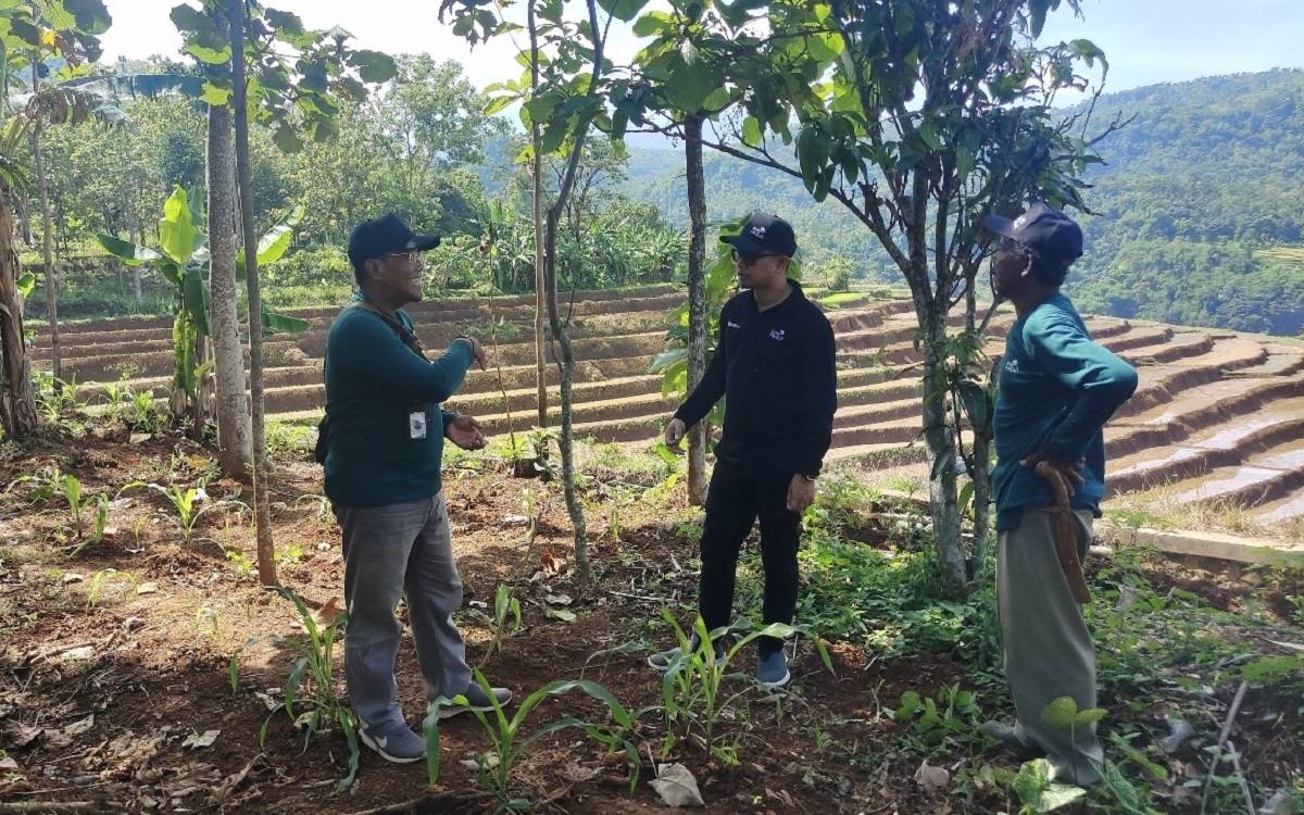 Dukung Agroforestry, PLN Gerakkan Petani Sumedang Rehabilitasi Lahan Kritis