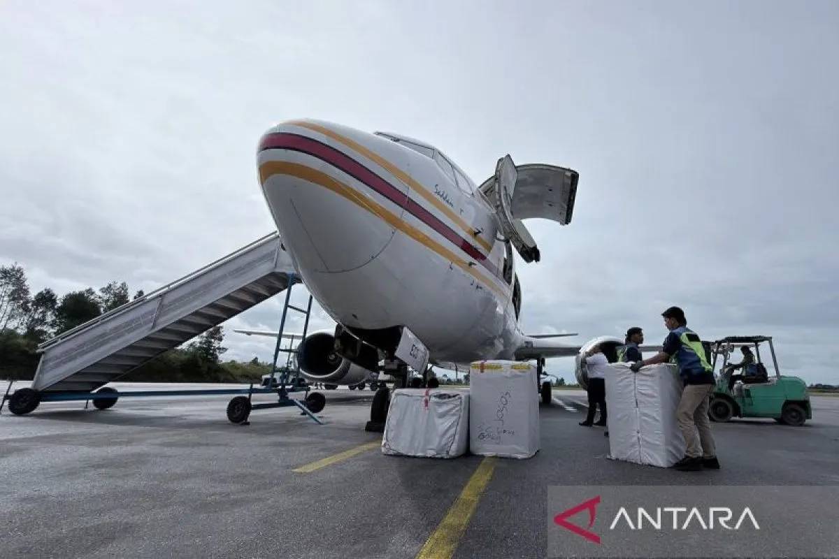 Bantuan Kemensos Tiba via Udara di Sumatra, Dari Tenda hingga Obat-obatan