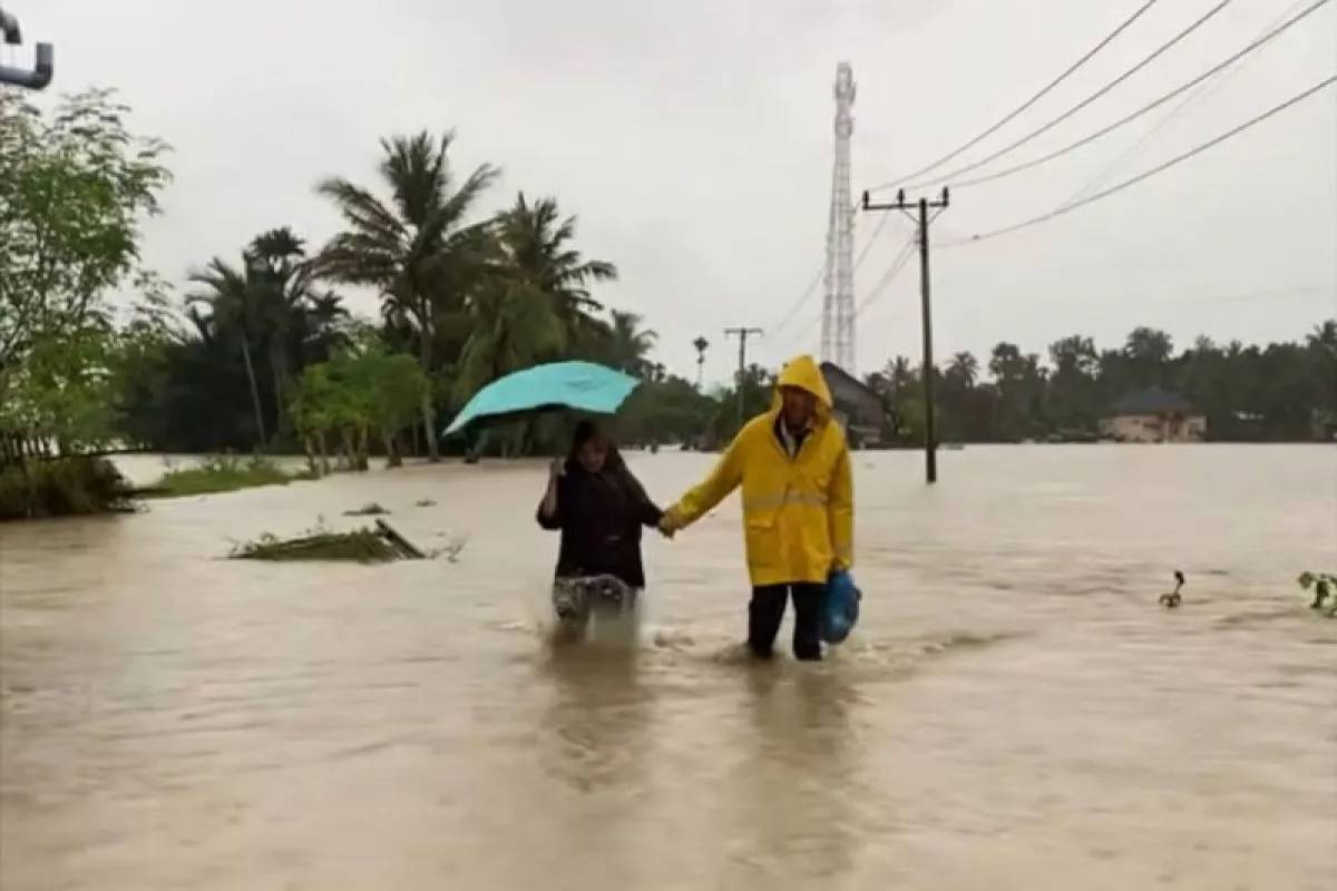 BNPB Sebut Seluruh Kabupaten dan Kota di Aceh Terdampak Banjir & Longsor