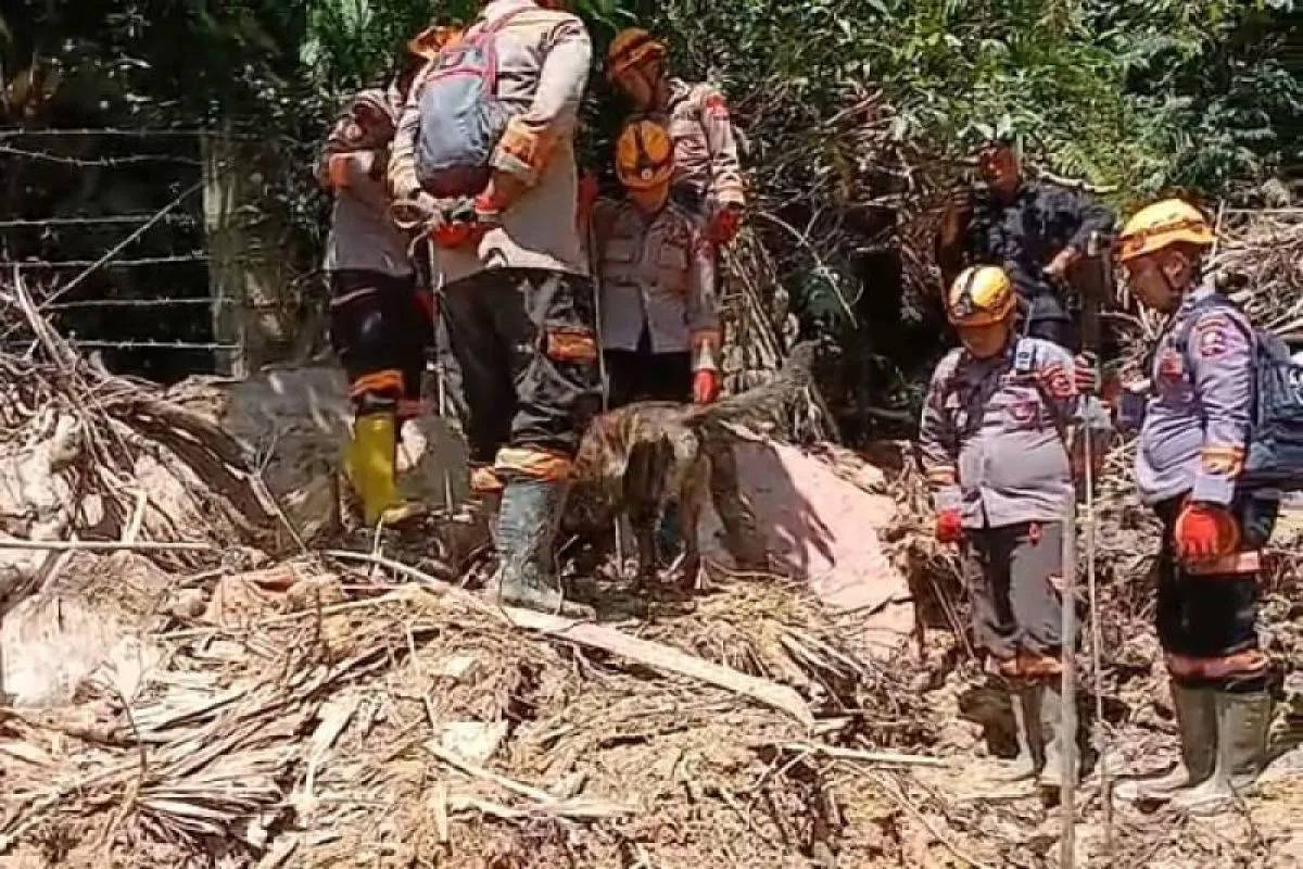 Material Tebal Hambat Pencarian Korban Bencana, K-9 Jadi Andalan di Sibolga