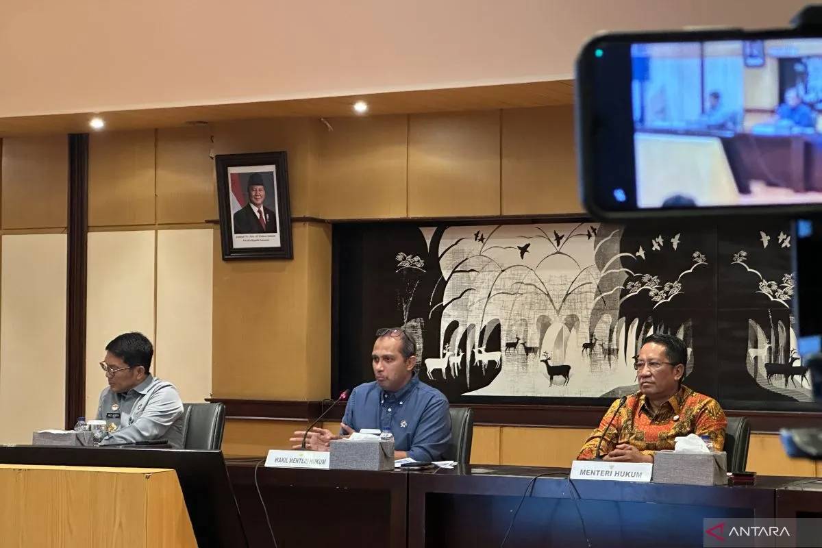 Pasal Penghinaan Presiden Sah Kritik Presiden dan Pemerintah, Fitnah yang Dilarang