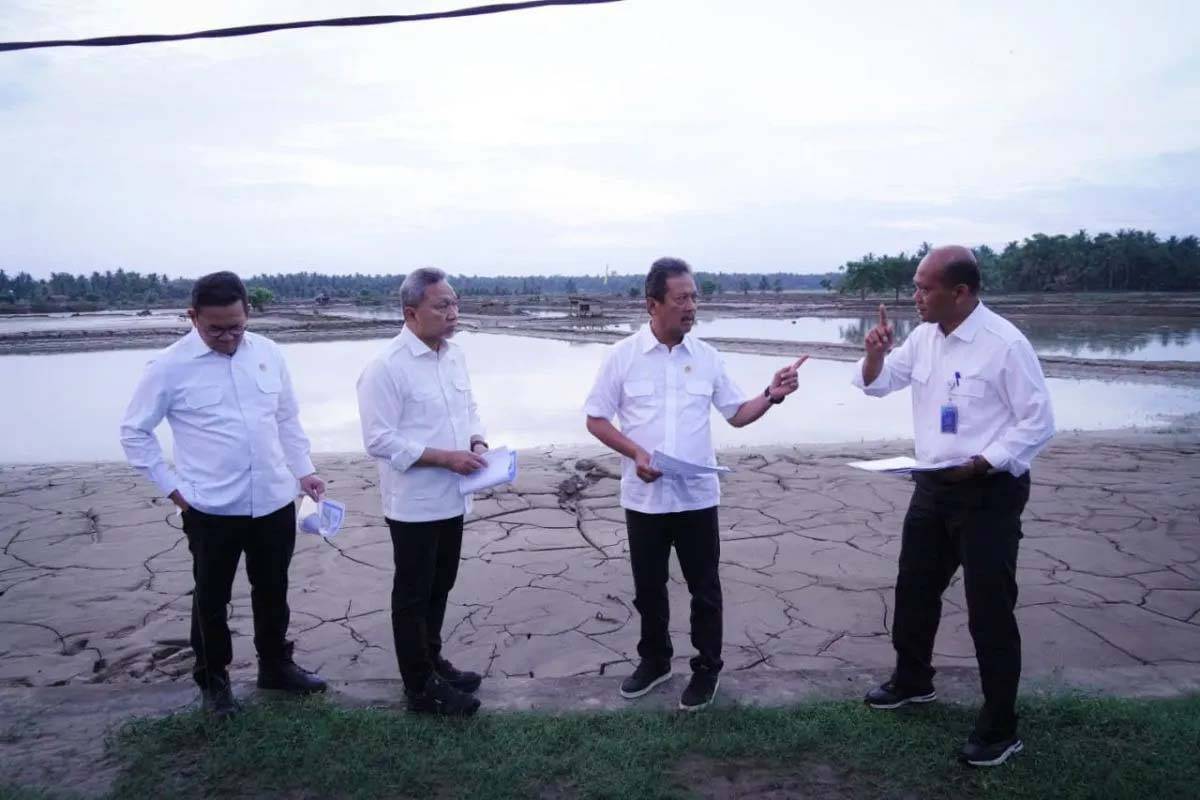 30 Ribu Hektare Tambak Rusak, Akibat Diterjang Banjir di Aceh