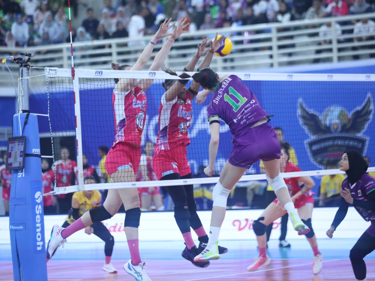 Jadwal Proliga 2026 Hari Ini: Popsivo Polwan vs Jakarta Pertamina Enduro