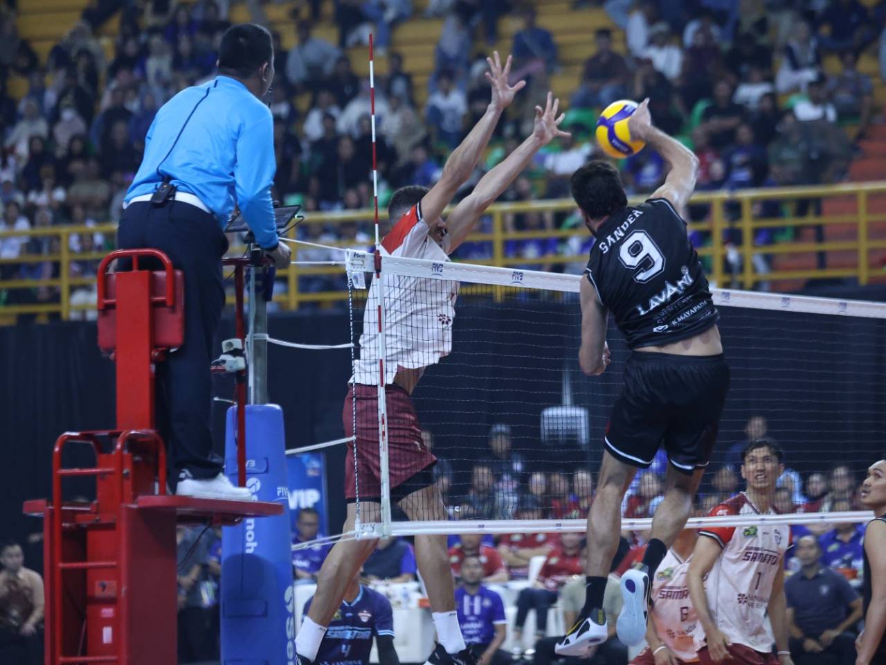 Top Skor Proliga 2026: Taylor Sander di Puncak, Megawati Kejar Ozsoy