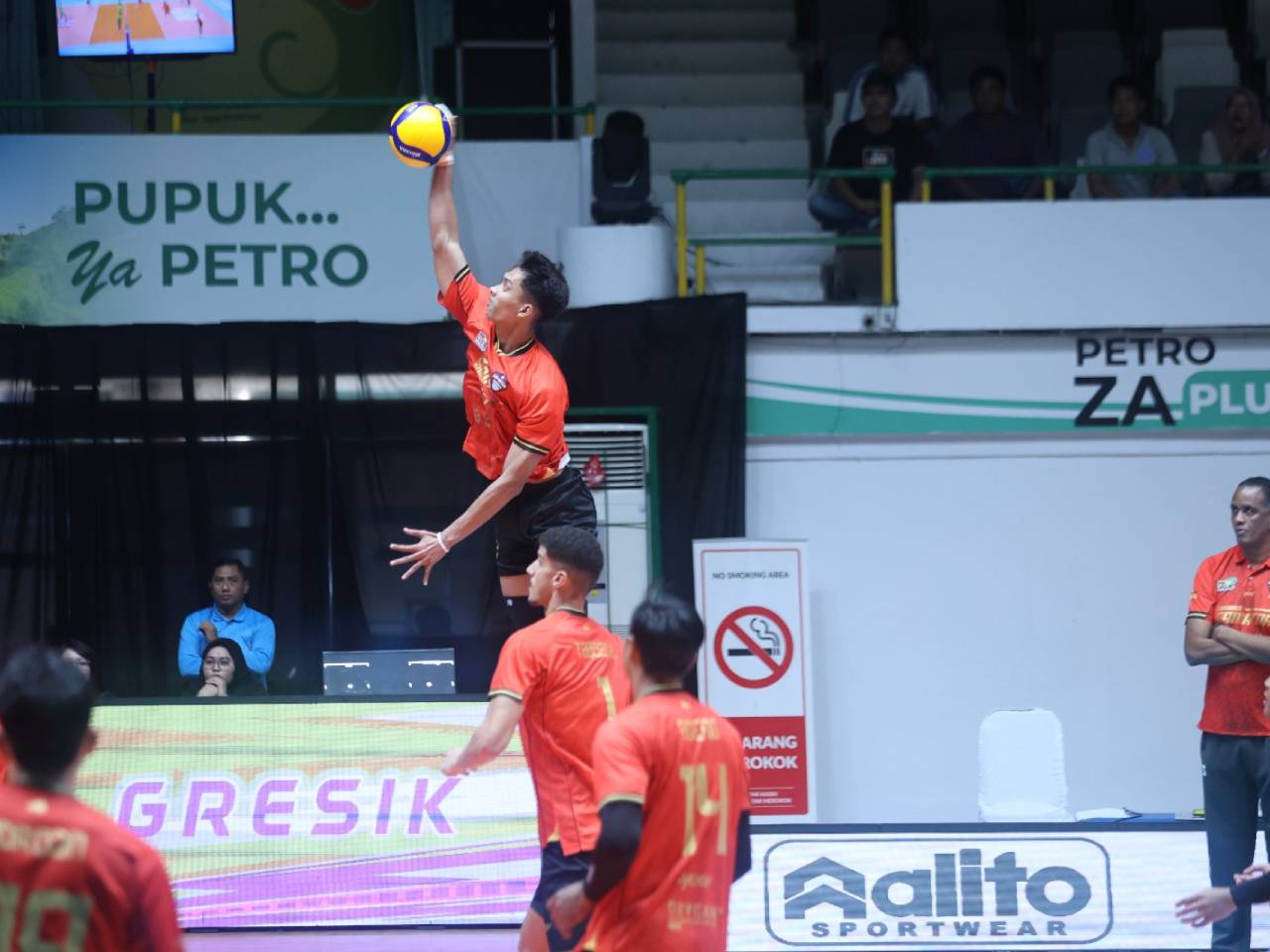 Proliga 2026: Surabaya Samator Ingin Kalahkan Jakarta Lavani dan Medan Falcons