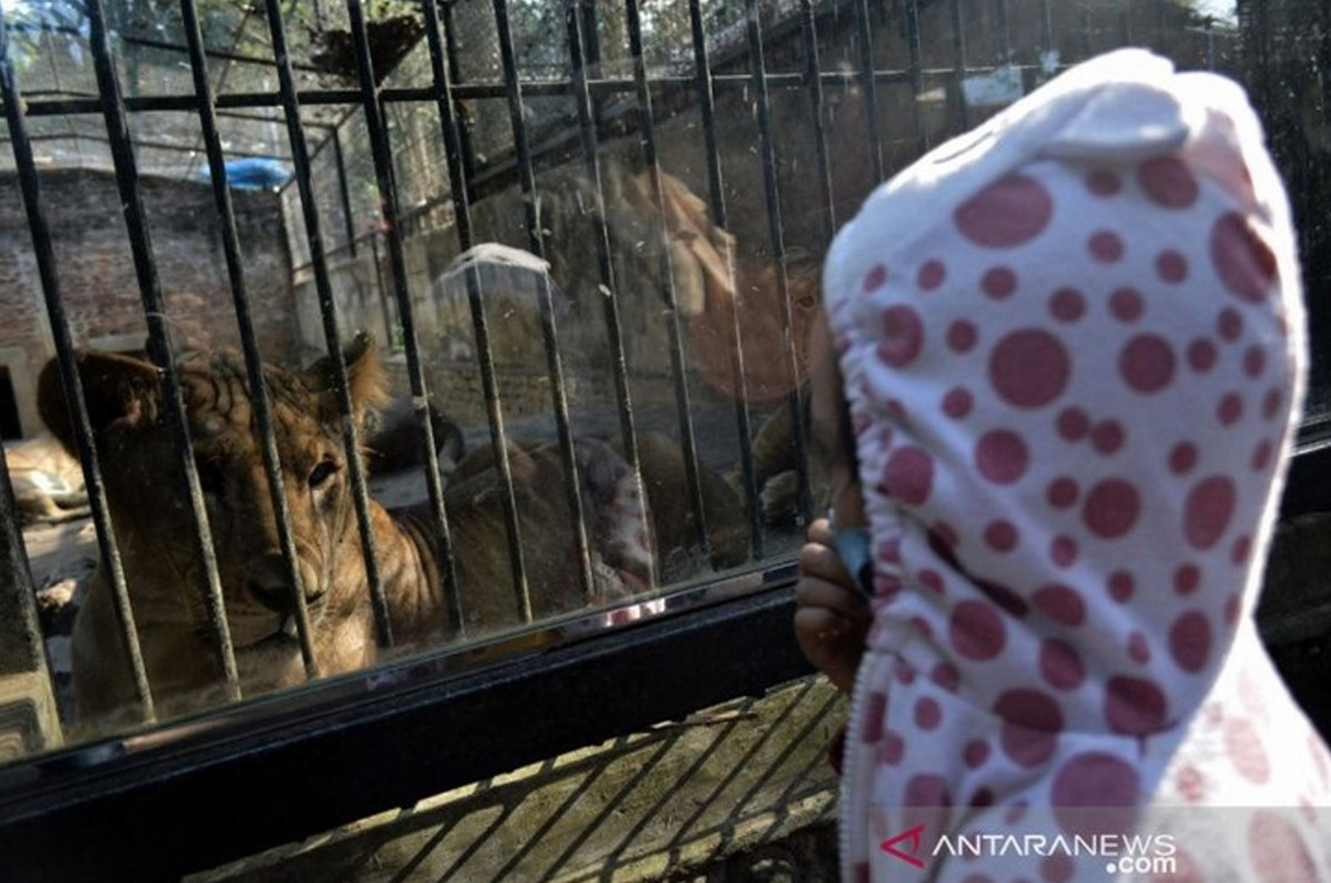 Gunung Papandayan dan Taman Satwa Cikembulan Dibuka untuk Umum GenPI