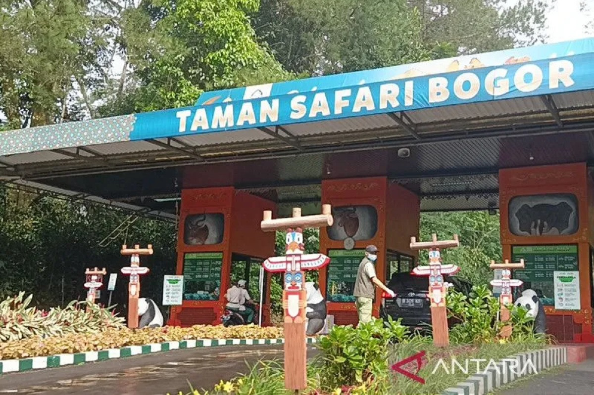 gerbang taman safari indonesia ii
