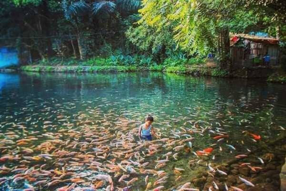 5 Rekomendasi Wisata Di Salatiga Pemandangan Indah Cocok Untuk Healing 